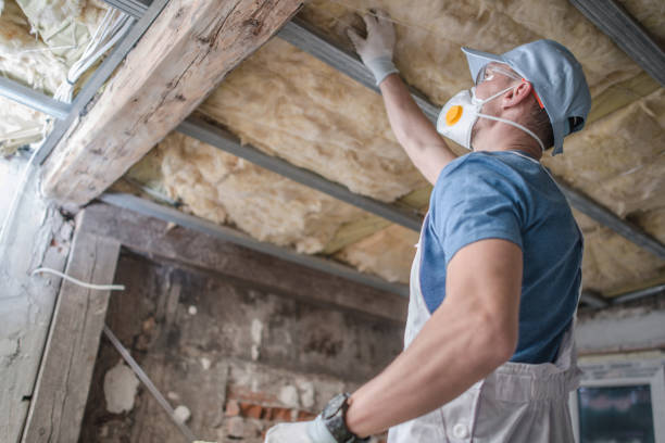 Best Specialized Insulation Services in Fillmore, UT