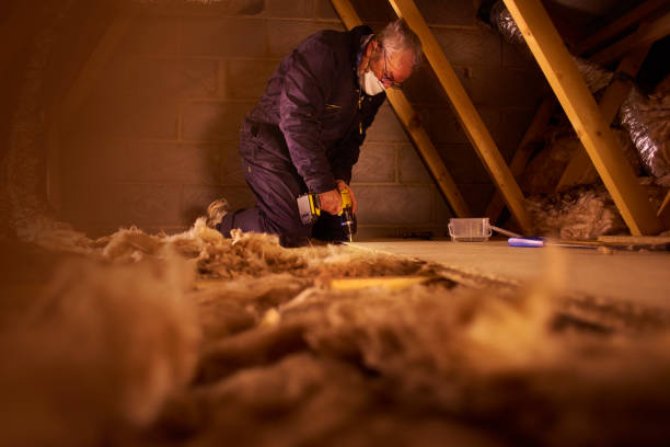 Best Geographic-Specific Insulation Services in Fillmore, UT